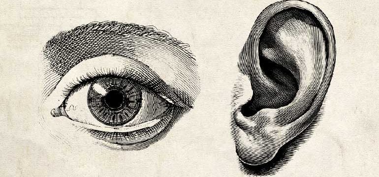 eye and ear graphic